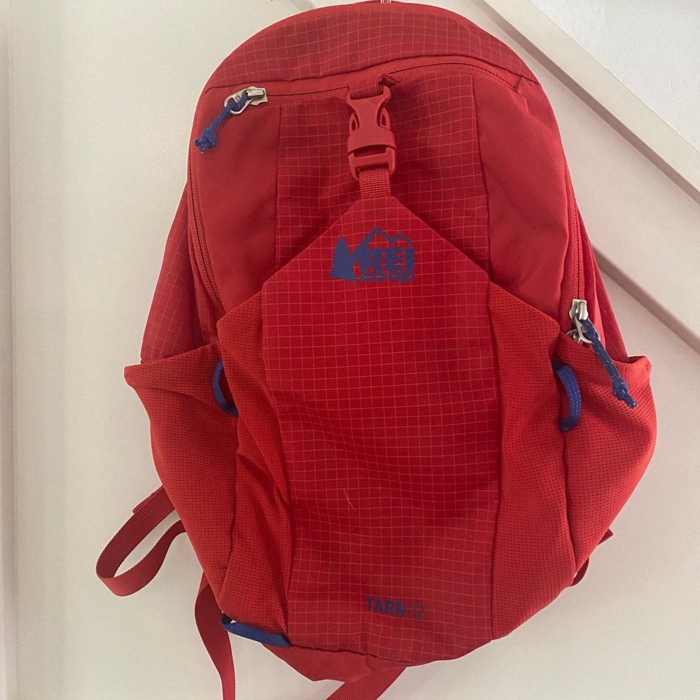 REI Tarn 12 Backpack
